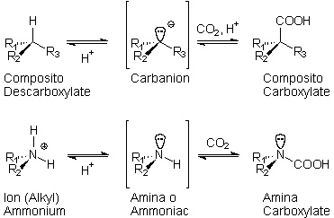 carboxylations
